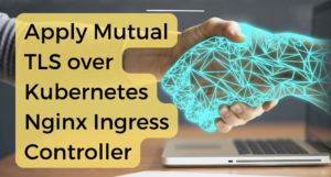 Apply mutual TLS over Kubernetes Nginx Ingress Controller.