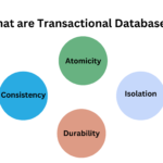 What are transactional databases?